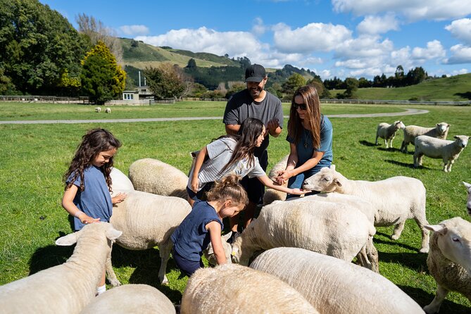 Agrodome Farm Experience including Farm Show and Farm Tour - Rotorua - Baby animals and the working farm setting