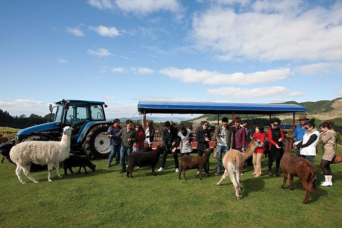 Agrodome Farm Experience including Farm Show and Farm Tour - Rotorua - Who will enjoy this experience most