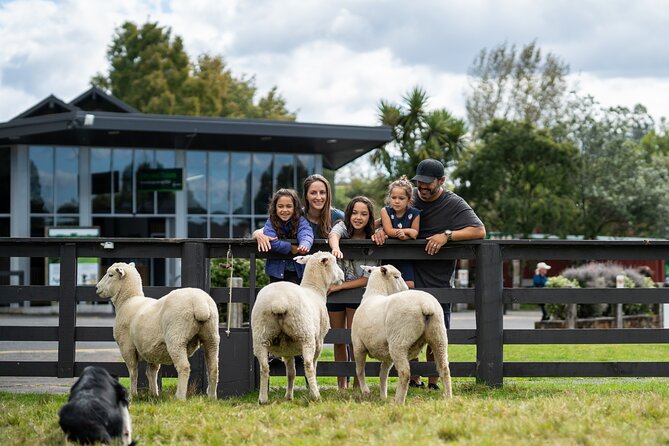 Agrodome Farm Experience including Farm Show and Farm Tour - Rotorua - Timing, transport, and practical planning