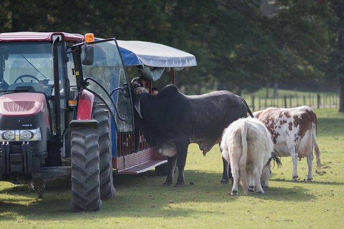 Agrodome Farm Experience including Farm Show and Farm Tour - Rotorua - What the $40.34 ticket really buys