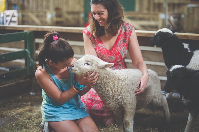 Agrodome Farm Experience including Farm Show and Farm Tour - Rotorua - Should you book the Agrodome?