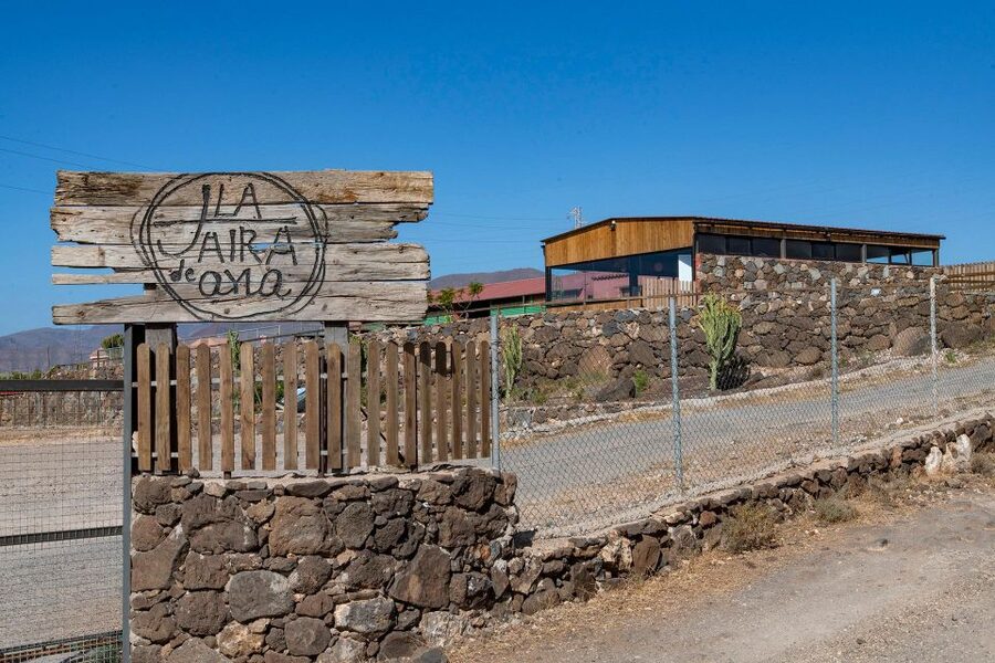 Agüimes : Be a farmer for the day at La Jaira de Ana - Learning how milking and feeding work
