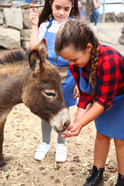 Agüimes : Be a farmer for the day at La Jaira de Ana - From the orchard to the greenhouse