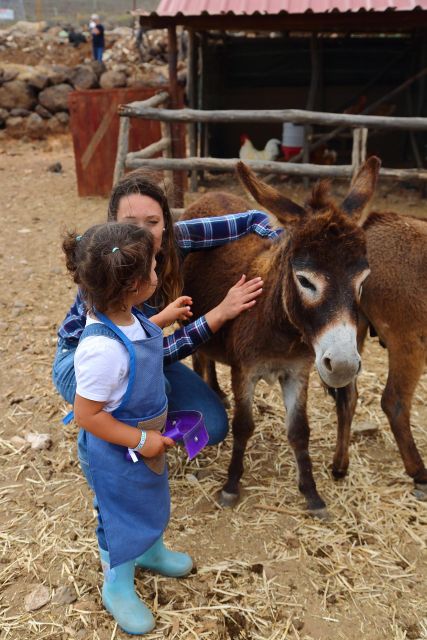 Agüimes : Be a farmer for the day at La Jaira de Ana - Meeting the animals at the corrals