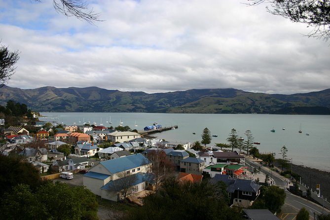 Akaroa Shore Excursion: Akaroa Harbour and Sheep Farm Local Tour - Timing, comfort, and practical details