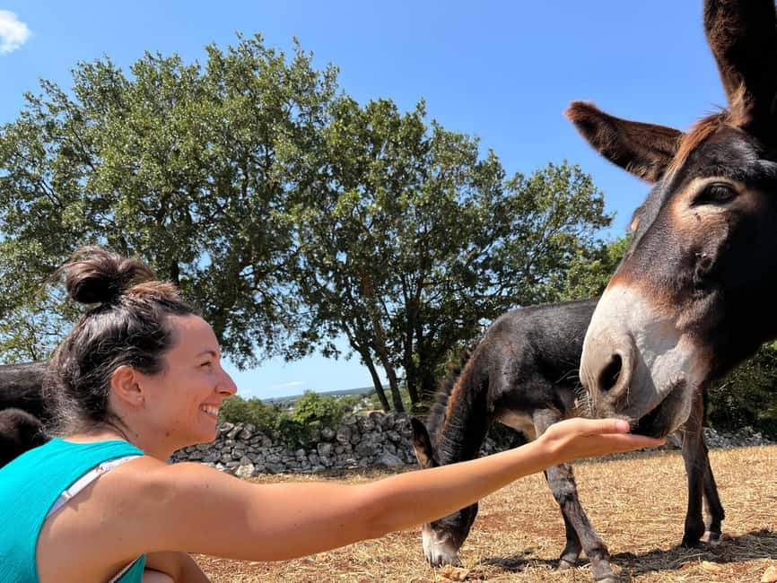 Alberobello: Guided e-bike tour + donkey farm visit - Who will enjoy this most