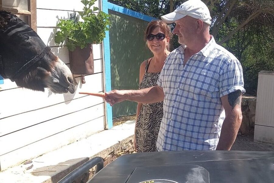 Albufeira Safari exploring villages, churches, castle & farm - Paderne village, church, honey, and medronho