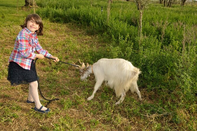 Alcamo Farm Animals and Aromatic Garden - A working farm near Alcamo, not a staged animal show