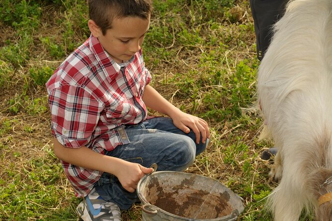 Alcamo Farm Animals and Aromatic Garden - Who should book this farm experience