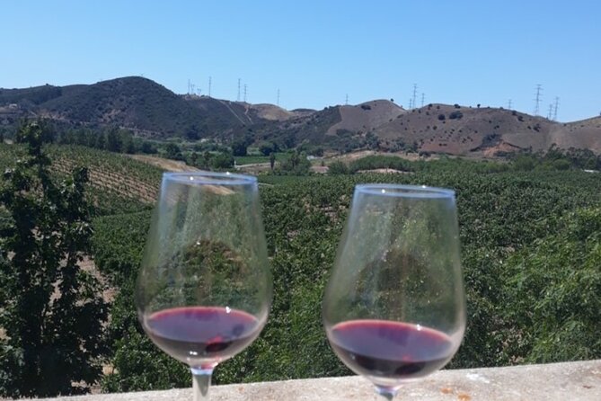 Algarve wine tour and farmer's lunch at wine estate - Starting from Portimão with Fabio