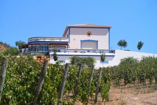 Algarve wine tour and farmer's lunch at wine estate - Quinta do Morgado da Torre, the final winery visit