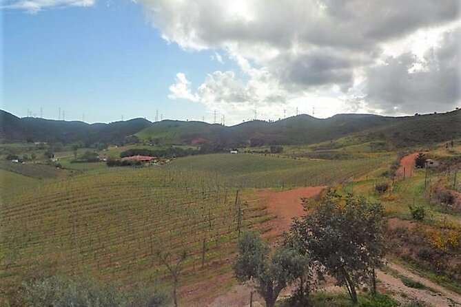 Algarve wine tour and farmer's lunch at wine estate - Who will enjoy this wine day most