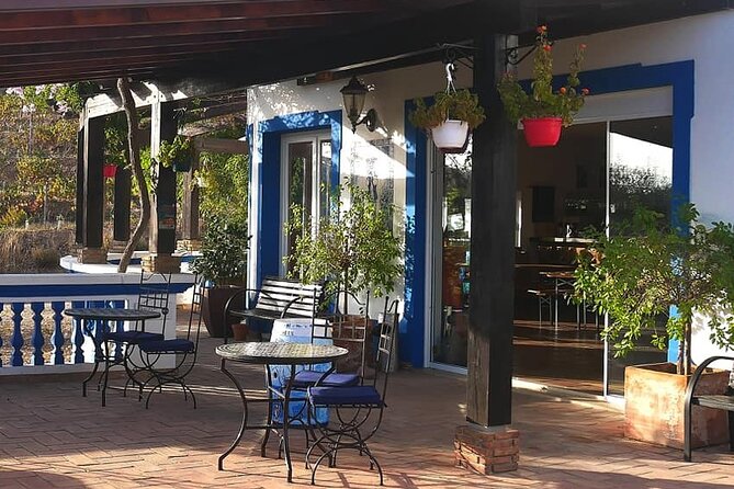 Algarve wine tour and farmer's lunch at wine estate - A farmer’s lunch at Morgado do Quintão or Quinta dos Santos