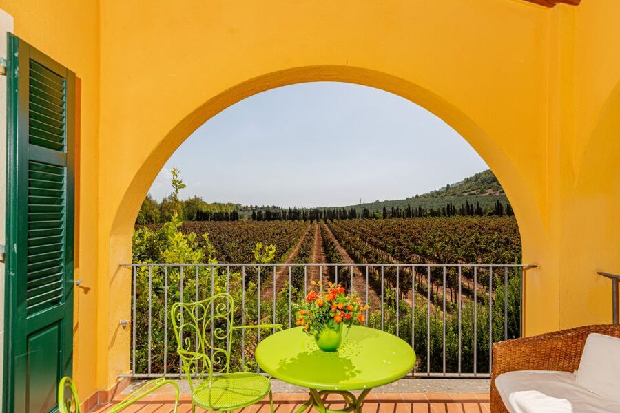 Alghero: Wine and Olive Oil Tasting at a Local Farm - Five wines, served with Sardinian food