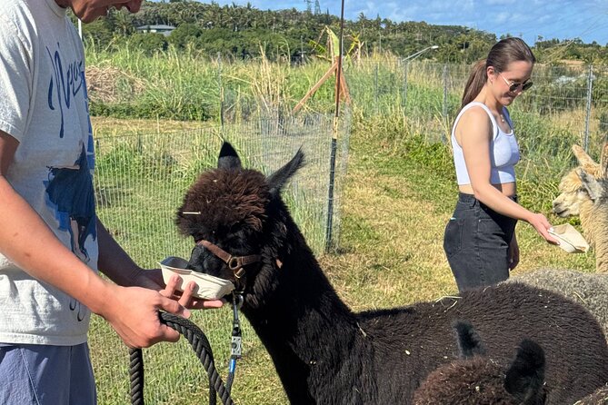 Alpaca Farm Experience on the Road to Hana - Farm snacks that make the stop feel local