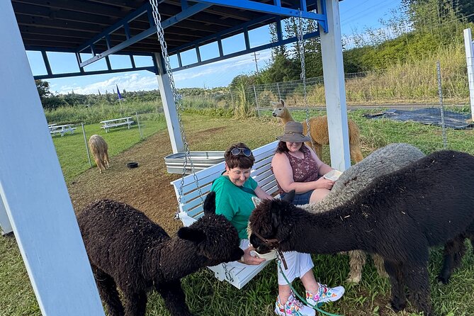 Alpaca Farm Experience on the Road to Hana - Is $49 a fair price?