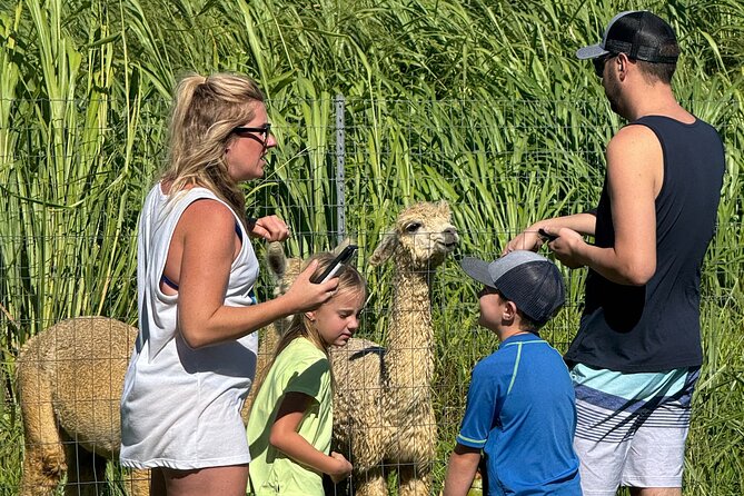Alpaca Farm Experience on the Road to Hana - The important reliability question