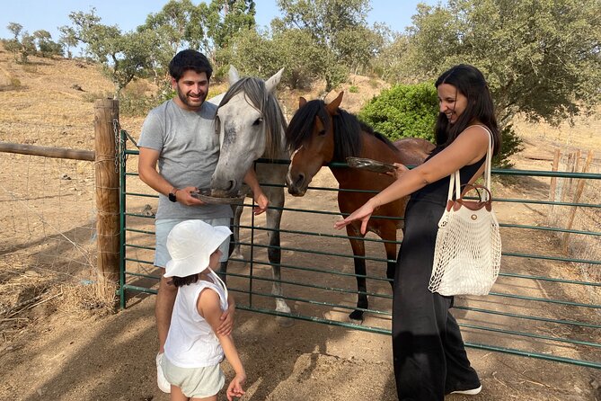 Alpaca Farm MamaAdama Meet & Feed - Photos, personalities, and time with the animals