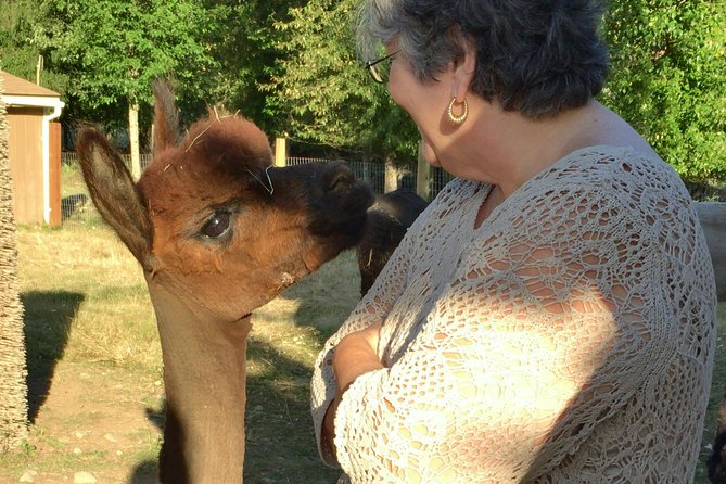 Alpaca Ranch and Fiber Processing Mill Tour - Key points to know before you go