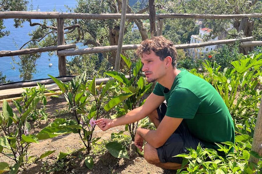 Amalfi Coast: Pizza & Mozzarella Class with Farmhouse visit - Baking beside the wood-fired oven