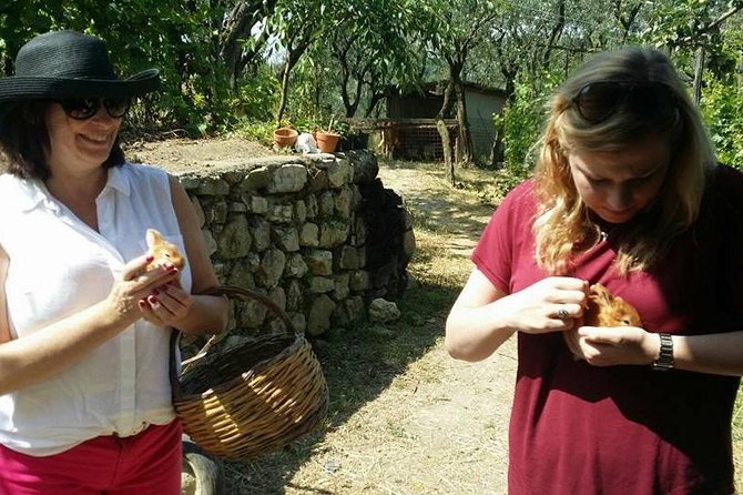 Amalfi Coast & Sorrento Cooking Class School at Farmhouse - Is the five-hour outing good value?