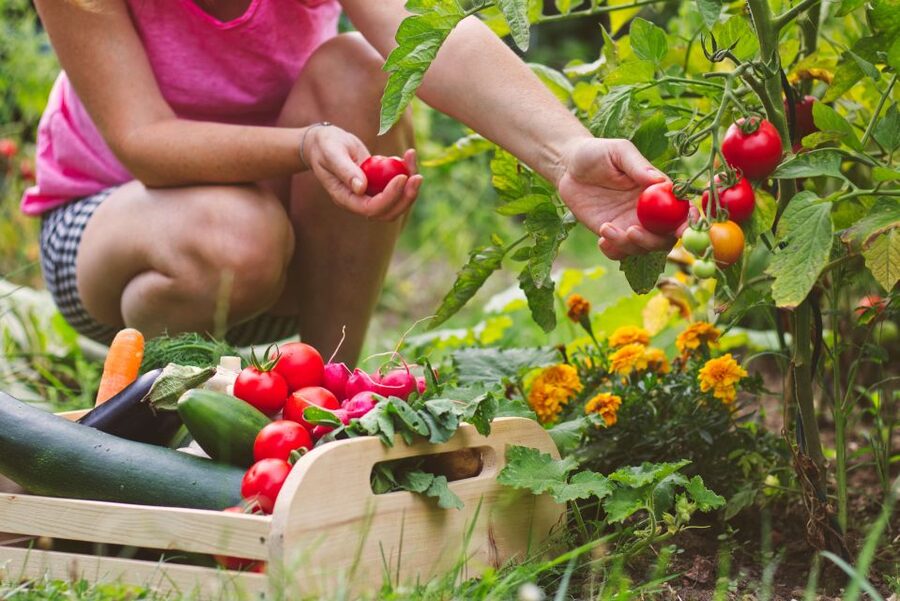 Amalfi: Cooking Class and Farmhouse Visit With Meal - Is the $157.47 price good value?