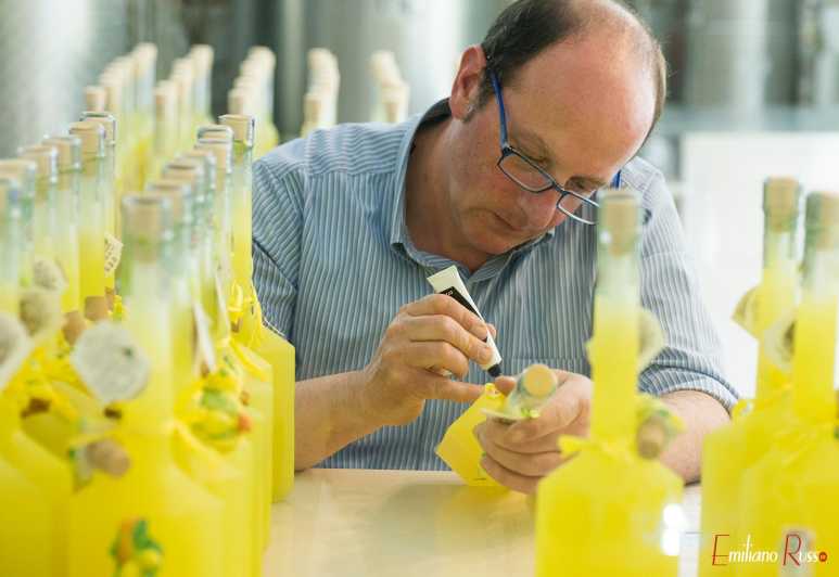 Amalfi: Vertical Lemon Farm Tour, Tastings, and Rural Museum - Why the Sfusato Amalfitano lemon matters