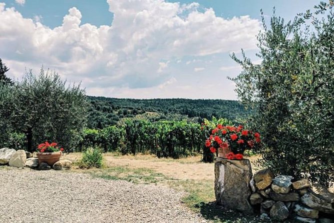 Amazing Lunch in organic Farm with Balsamic Vinegar Olive Oil truffle and Wine tasting Experience in Tuscany - Inside the cellar with Silvano