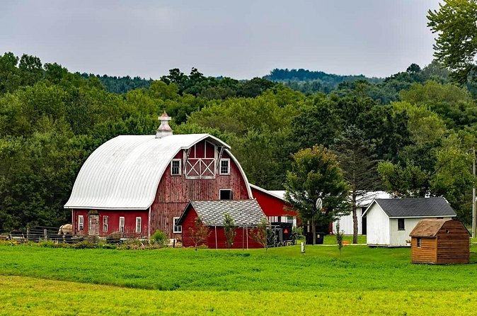 Amish Farm and House Day Tour from Washington D.C. - Who Will Enjoy This Lancaster Day Trip?