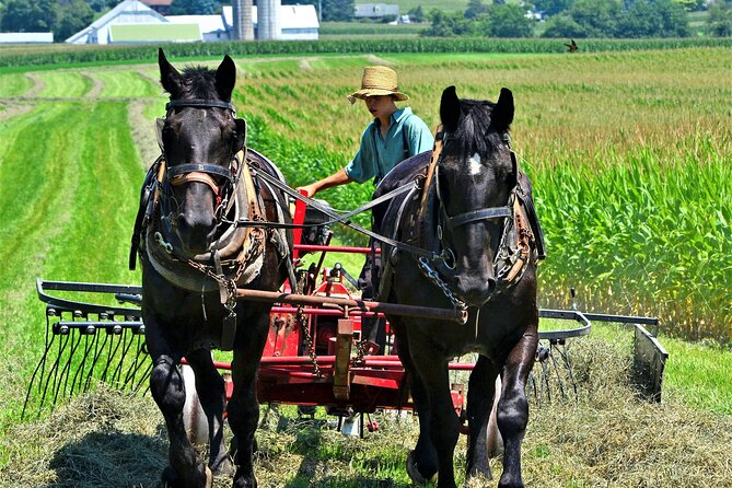 Amish Farmlands Tour - Seeing Lancaster County From Old Philadelphia Pike