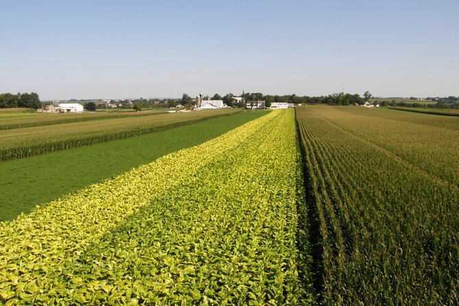 Amish Farmlands Tour - How to Get the Most From the 90 Minutes
