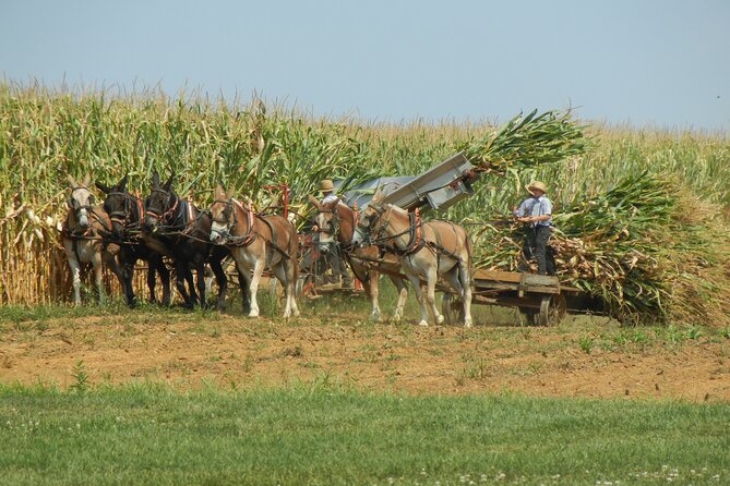 Amish Farmlands Tour - Why the Small Group Size Helps