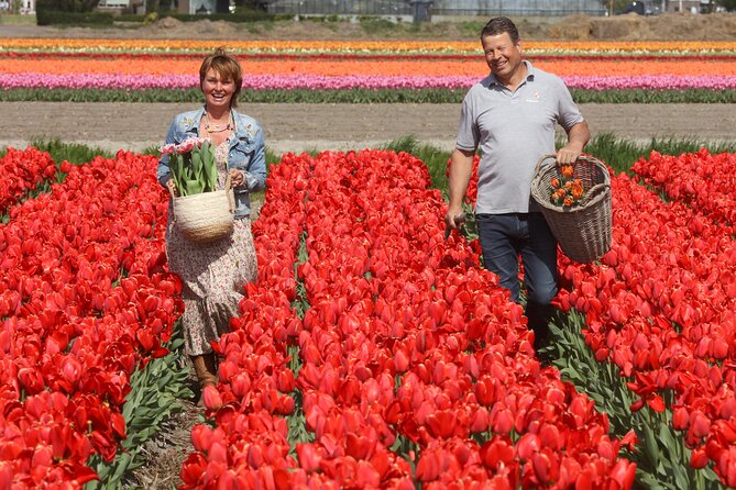 Amsterdam: Day trip to Tulip Farm, Keukenhof + Windmill Cruise - A flower-country day that gives you more than Keukenhof