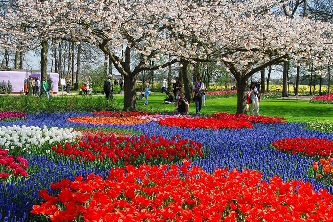 Amsterdam: Day trip to Tulip Farm, Keukenhof + Windmill Cruise - The bus through the bulb-growing region