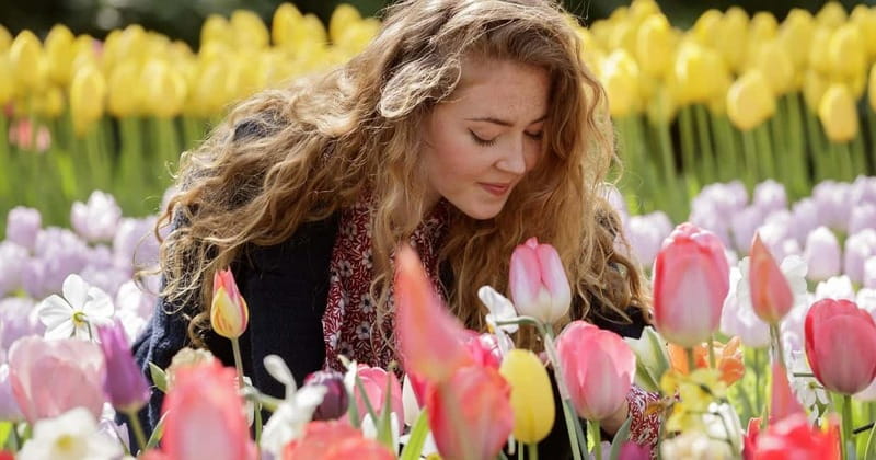Amsterdam: Tulip Farm Visit, Keukenhof, and Windmill Cruise - De Tulperij, where the tulip story becomes practical