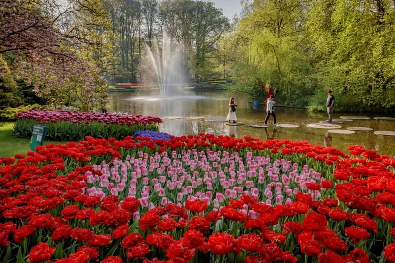 Amsterdam: Tulip Farm Visit, Keukenhof, and Windmill Cruise - Arriving at Keukenhof with time to choose your own route