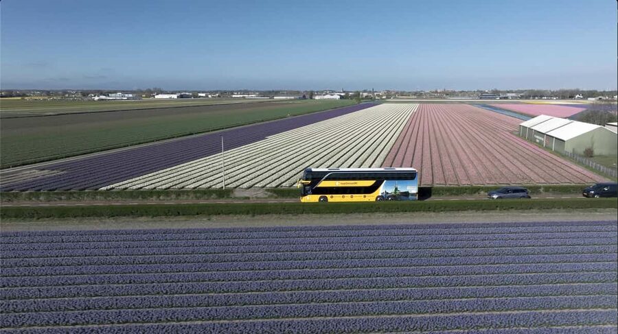 Amsterdam: Tulip Farm Visit, Keukenhof, and Windmill Cruise - Food, comfort, and the practical rhythm of the day