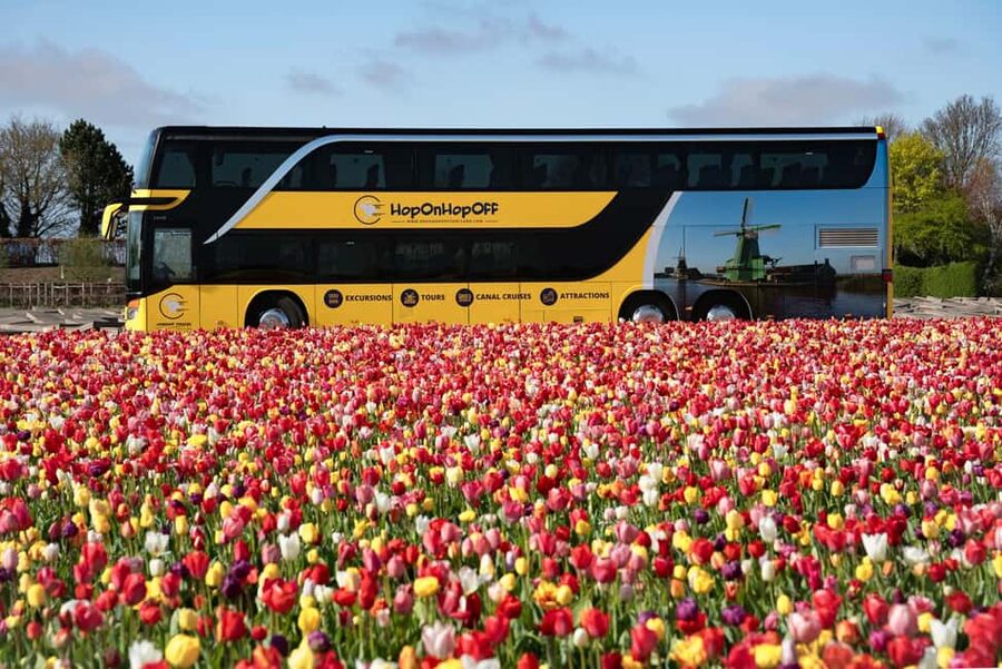 Amsterdam: Tulip Farm Visit, Keukenhof, and Windmill Cruise - Is $99 a fair price?