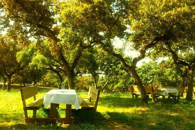 Andalucia Bull and Horse Farm and Ronda Private Tour from Malaga - Why the farm visit makes this trip different
