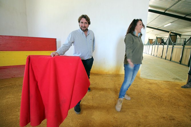Andalucia Bull and Horse Farm and Ronda Private Tour from Malaga - A compact look at Ronda’s bull ring