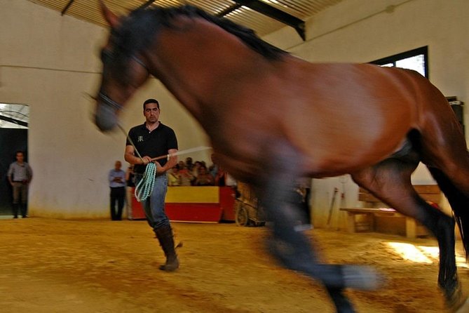 Andalucia Bull and Horse Farm and Ronda Private Tour from Malaga - Practical details that can affect your day