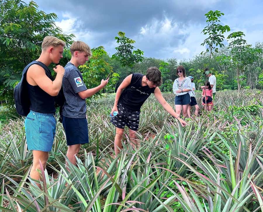 Ao Nang: Crystal Pool Kayaking, ATV, and Pineapple Farm Tour - What to bring for a smoother day