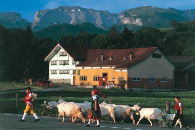 Appenzell Alps Day Trip from Zurich – Farm Life & Cheese Tasting - Appenzeller cheese in Stein