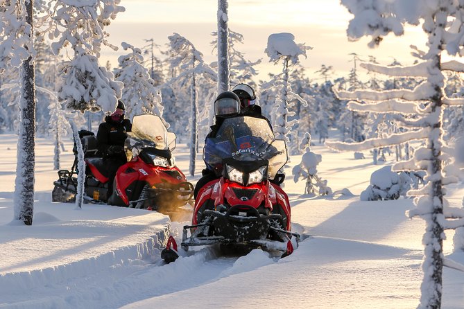 Arctic Delight - Visit to Santa's Village and snowmobiling to reindeer farm - A short sleigh ride and time with reindeer