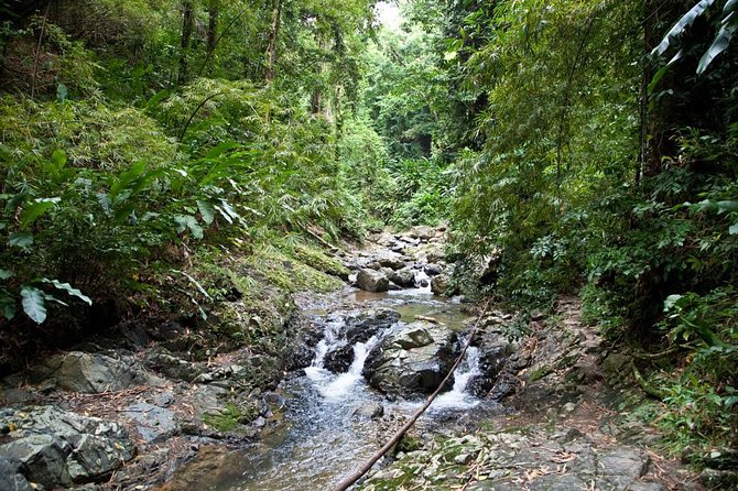 Argyle Waterfall with Adventure Farm - Walking the 20-minute trail to Argyle Waterfall