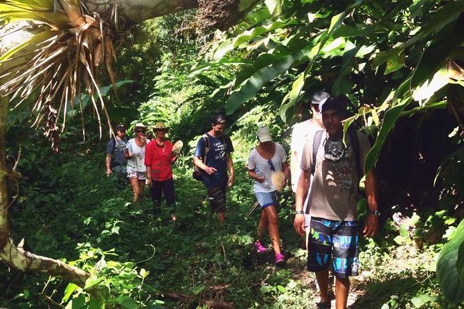 Argyle Waterfall with Adventure Farm - Who will enjoy this Tobago outing most