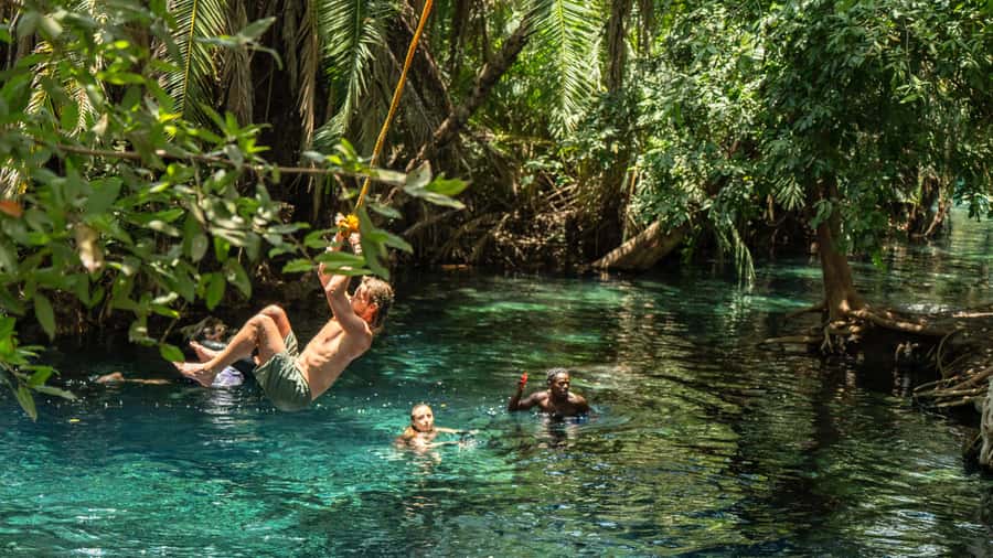 Arusha or Moshi : Hot Spring, Waterfall & Coffee Farm Tour - A coffee lesson with a cup at the end