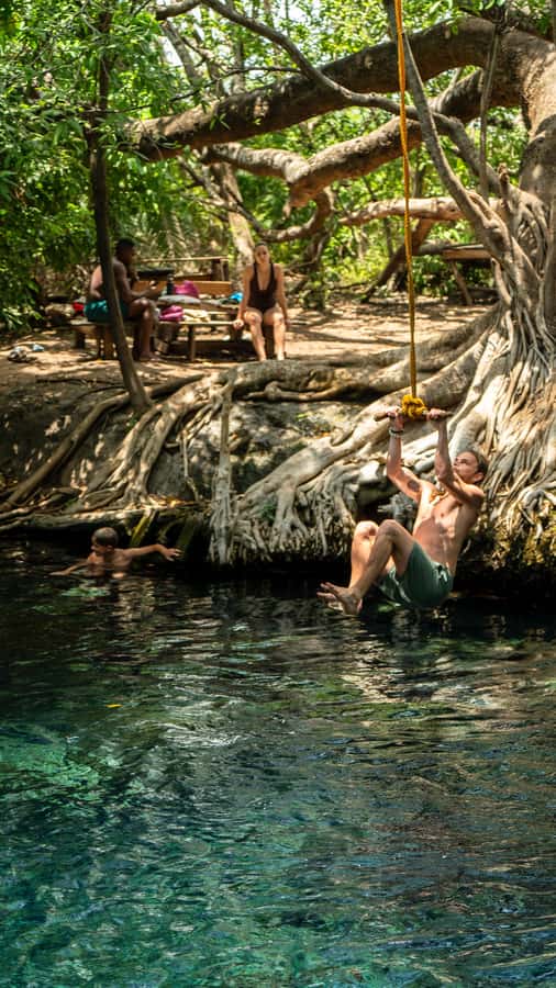 Arusha or Moshi : Hot Spring, Waterfall & Coffee Farm Tour - Is the $53 price good value?