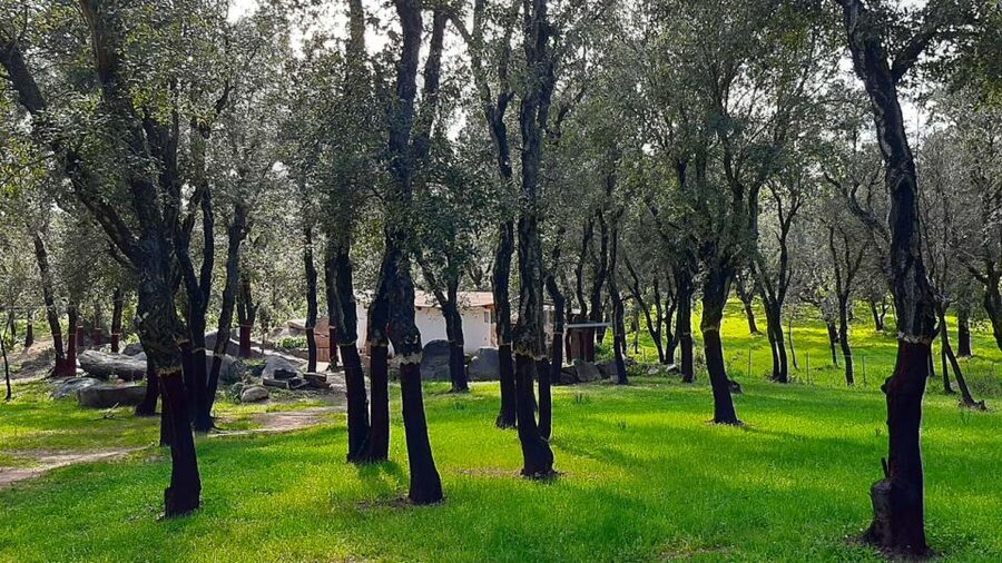 Arzana: Day with a shepherd w/ lunch in a farm - How this compares with other Arzana outings