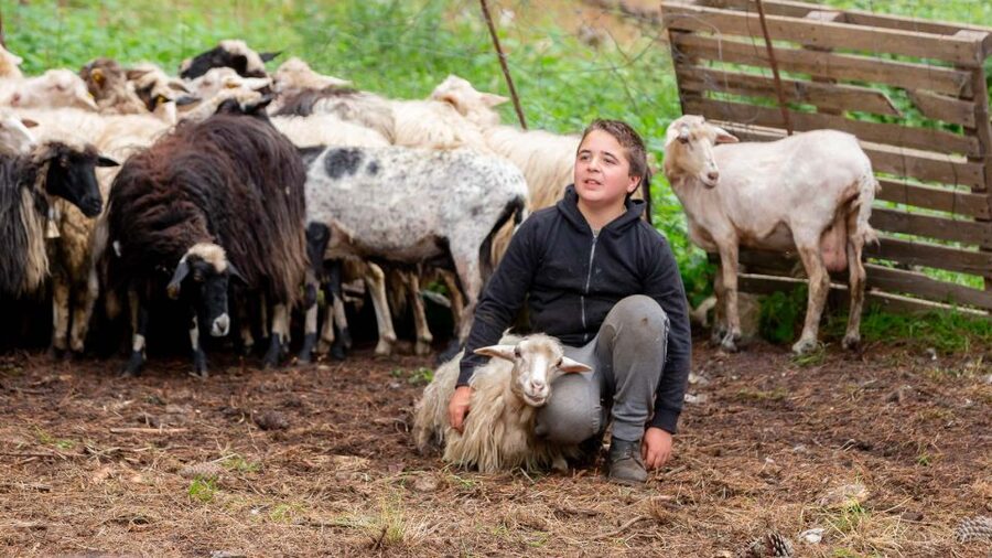 Arzana: Day with a shepherd w/ lunch in a farm - Meeting Stefania and Vincenzo